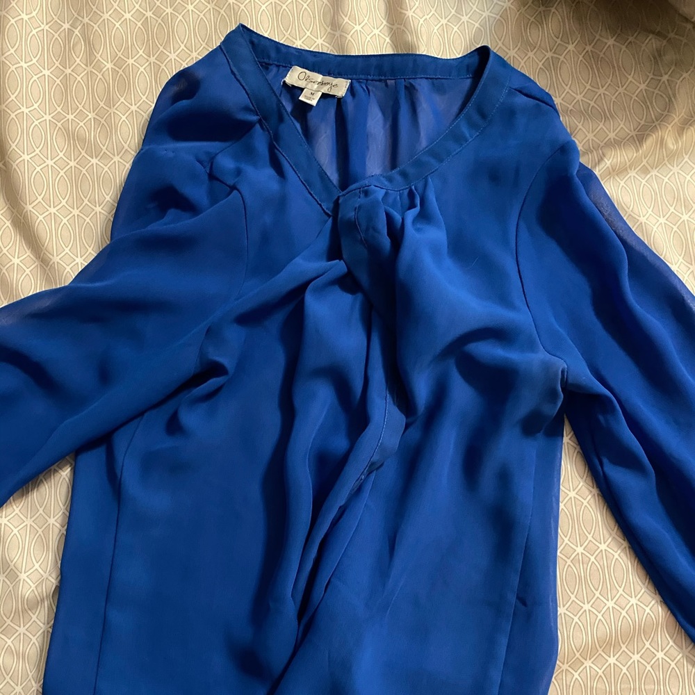 Blue blouse